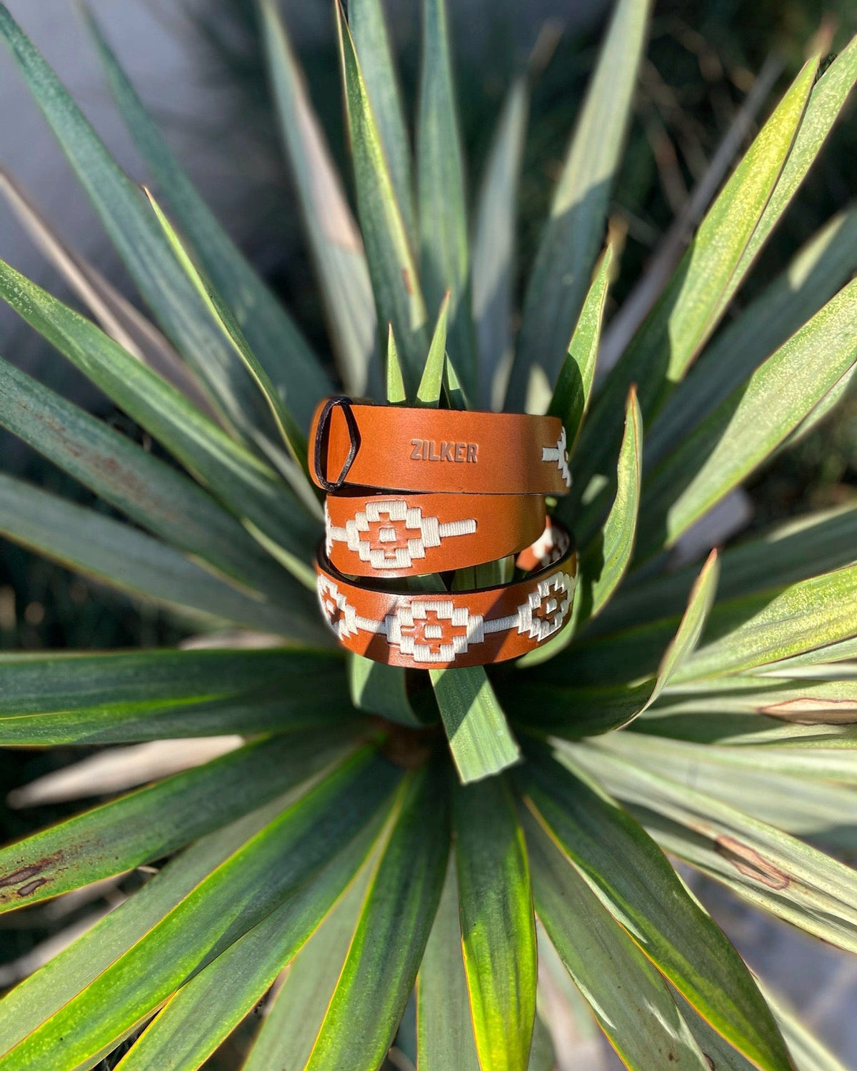 Criquet Zilker Belts in Rambler, view 4