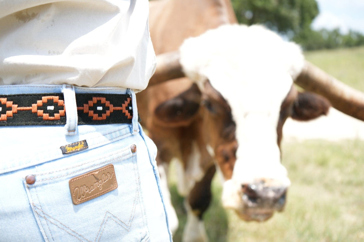 Criquet Zilker Belts in Texas Exes II, lifestyle photo